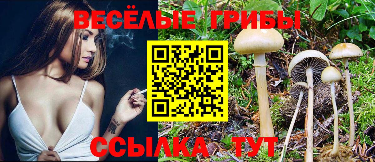 Галлюциногенные грибы GOLDEN TEACHER Азов